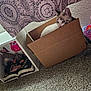 cat, cardboard_box, carpet, decor, shelf, book_sculpture, plush_toy, blanket, patterned_curtain, wall, indoor, cozy, pet, curious, feline, soft_texture, colorful, home, comfort, animal