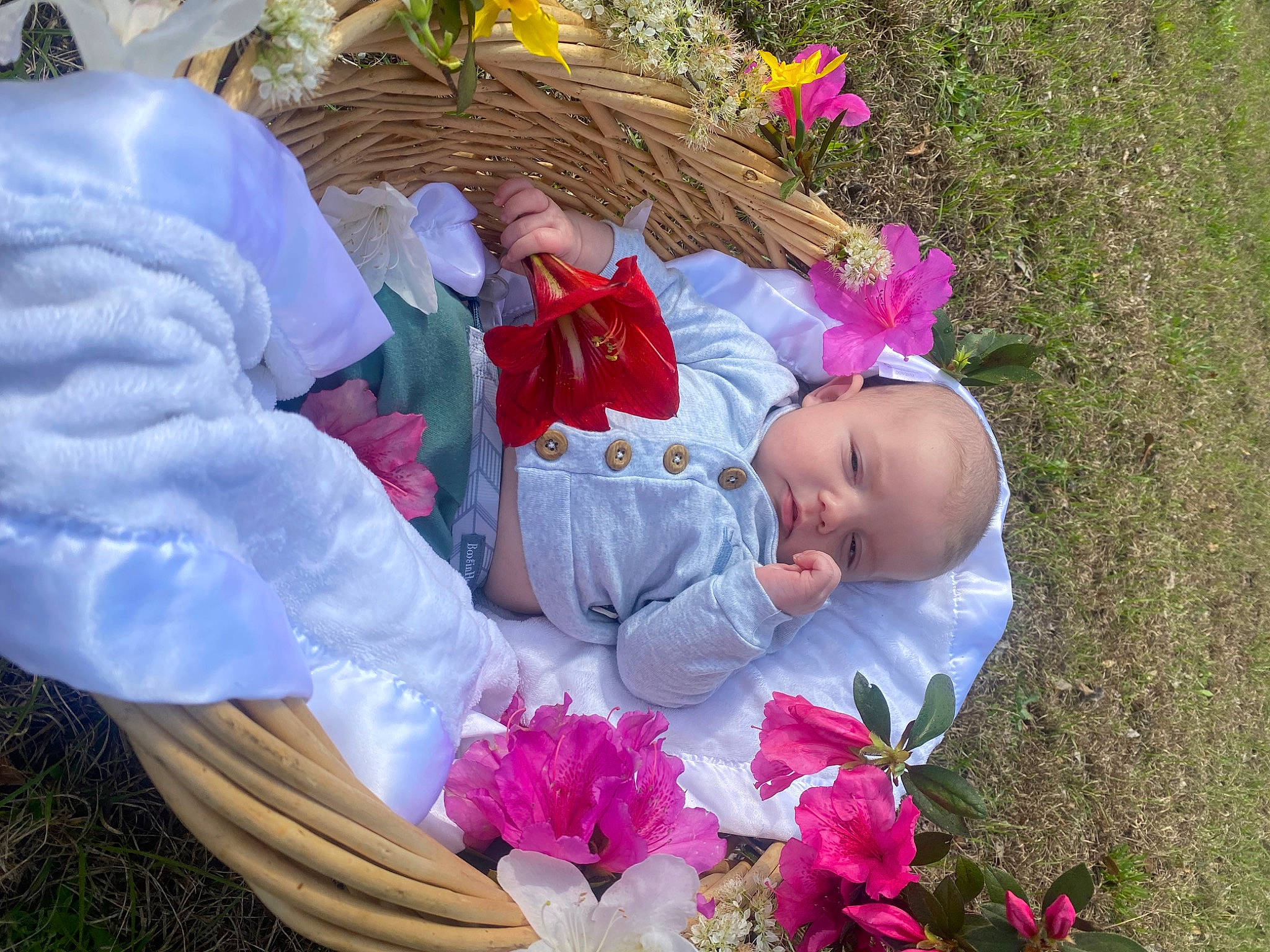 Braylen joined the competition — help win amazing prizes! baby, baby_products, baby_toddler_clothing, botany, child, flower, fun, grass, happy, leaf, magenta, people_in_nature, person, petal, pink, plant, play, purple, sitting, spring
