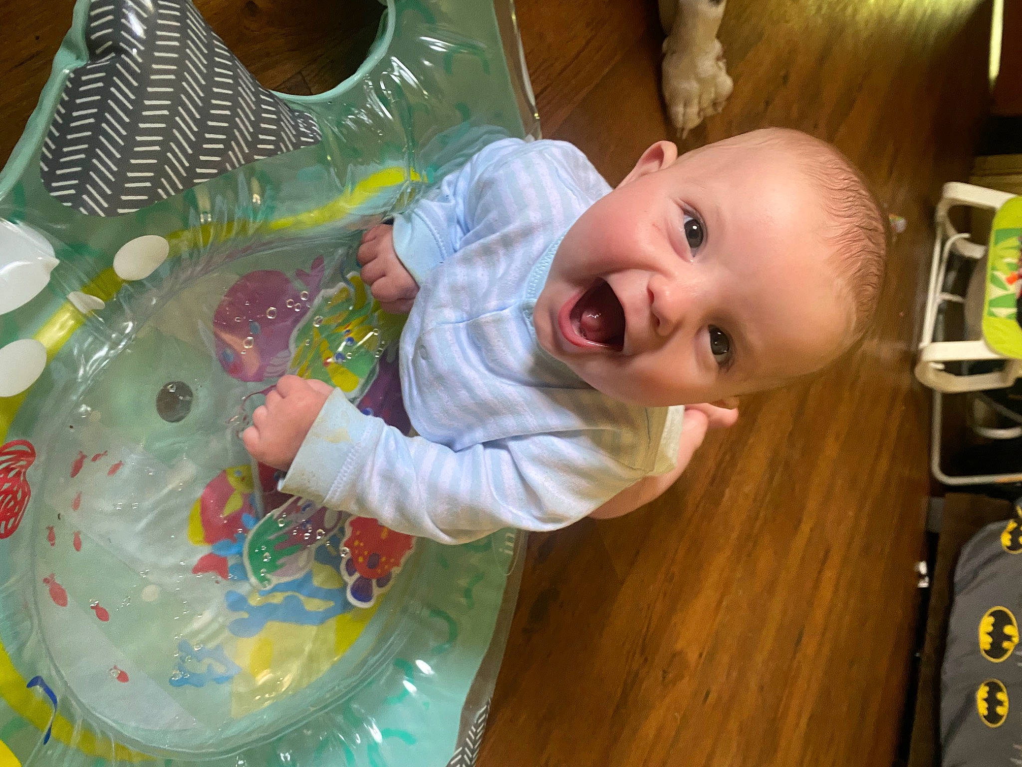 Braylen joined the competition — help win amazing prizes! baby, baby_products, baby_toddler_clothing, baby_toys, cheek, child, circle, fun, green, happy, iris, nose, person, play, room, shelf, sitting, skin, smile, toddler
