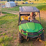 Miley is registered to the contest to win money with this photo: man, dog, vehicle, off_road_vehicle, green, grass, field, farm, rural, sunlight, tree, building, shed, dirt_path, outdoor, daylight, portrait, smile, pet, recreation