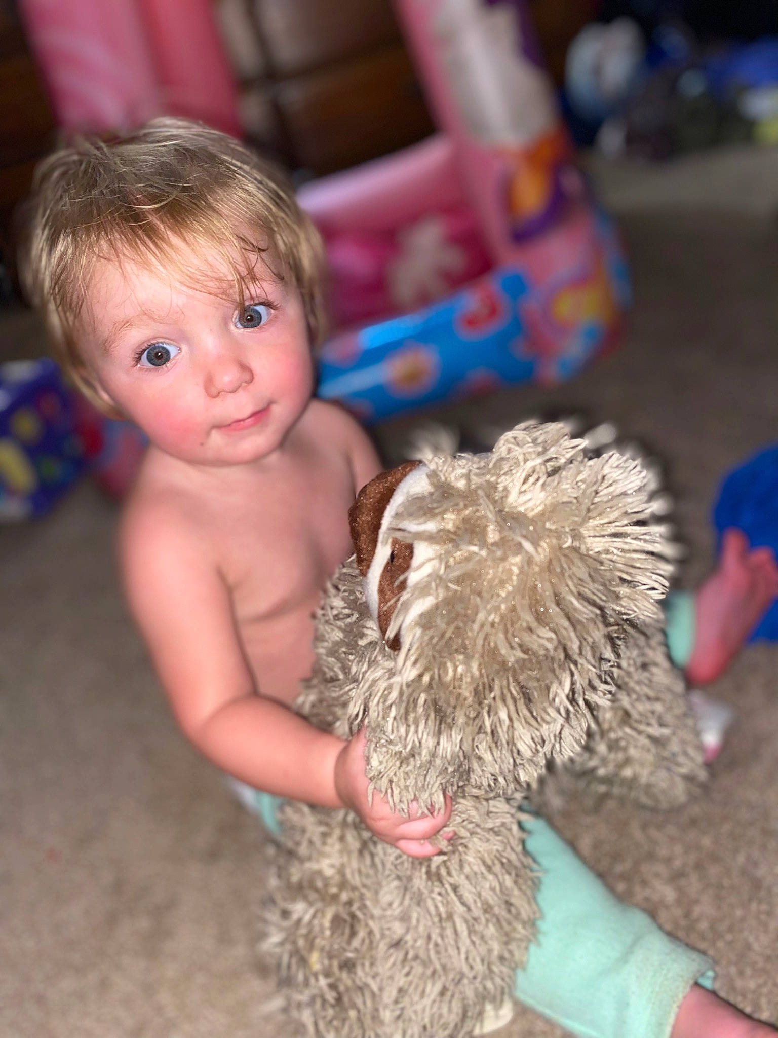 Rhaenyra joined the competition — help win amazing prizes! blue, carnivore, child, companion_dog, dog, dog_breed, event, foot, fun, fur, happy, leisure, non_sporting_group, person, photograph, play, sitting, sporting_group, toddler, toy