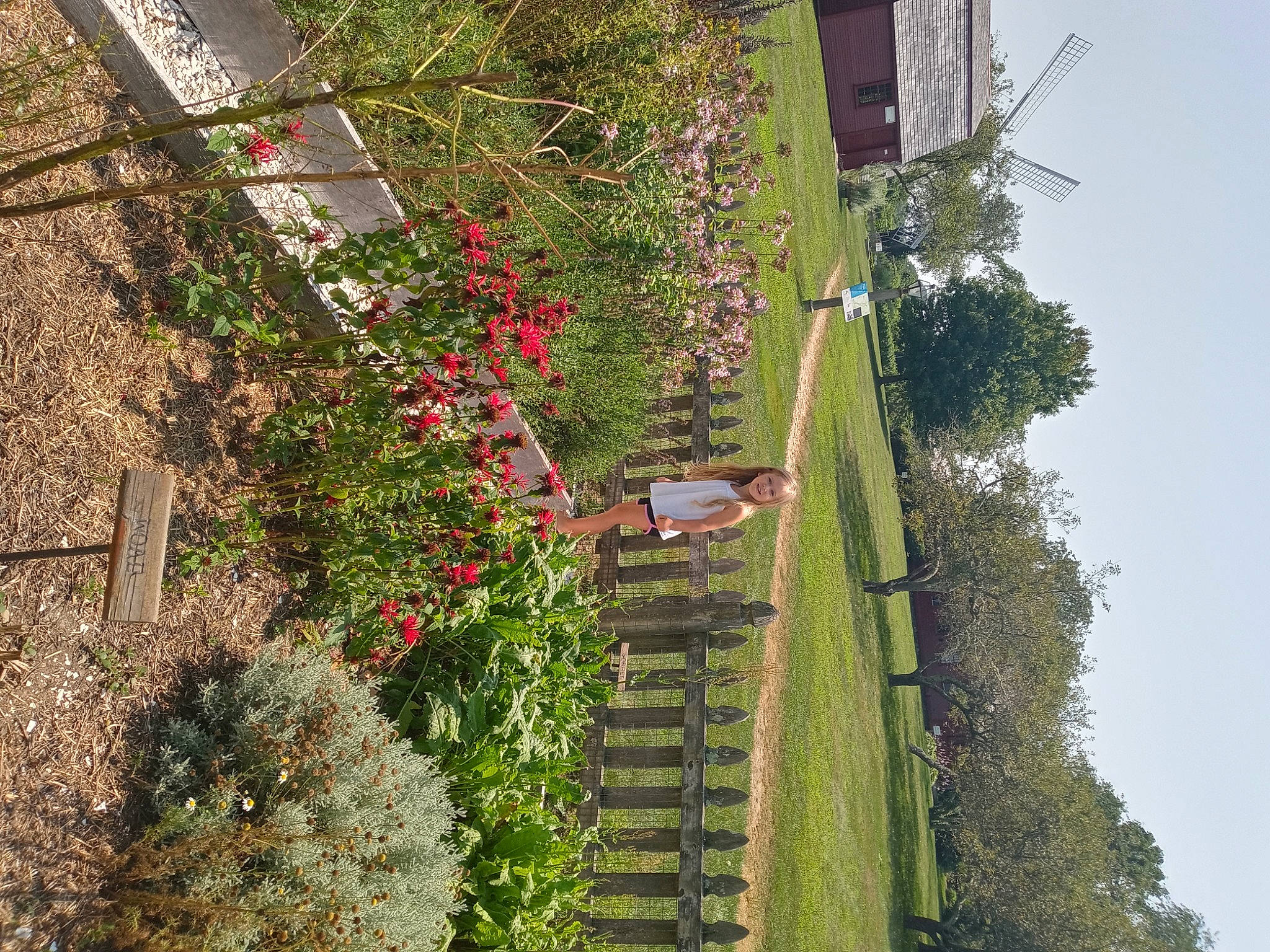 Madisyn is registered to the contest to win money with this photo: biome, branch, building, flower, grass, green, house, joy, landscape, nature, person, plant, residential_area, rural_area, sky, slope, street_light, tree, urban_design, vegetation