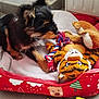 Appy participe au concours pour gagner de l'argent avec cette photo : puppy, dog, toy, plush_toy, rope_toy, pet_bed, red_bed, tile_floor, black_dog, tan_dog, indoor, pet, cute, small_dog, animal, ears, playful, resting, cozy, home
