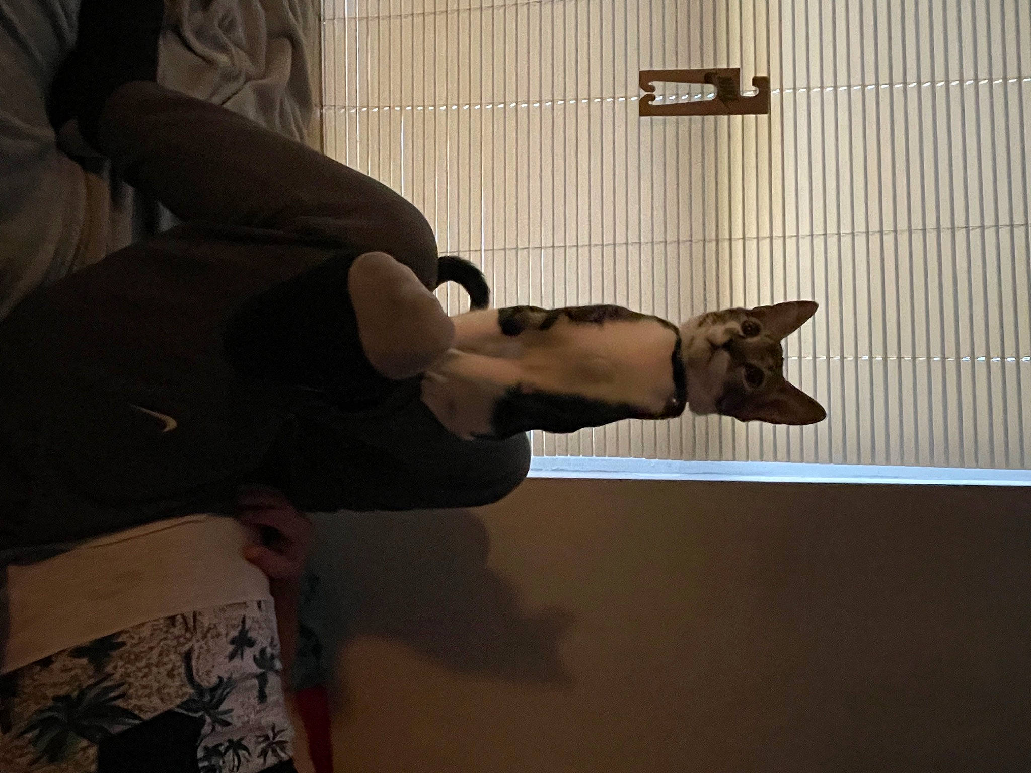 Luna joined the competition — help win amazing prizes! elbow, eyewear, finger, flooring, gesture, human_leg, joint, knee, personal_protective_equipment, room, shadow, sleeve, t_shirt, thumb, tints_and_shades, visual_arts, waist, window, wood, wrist