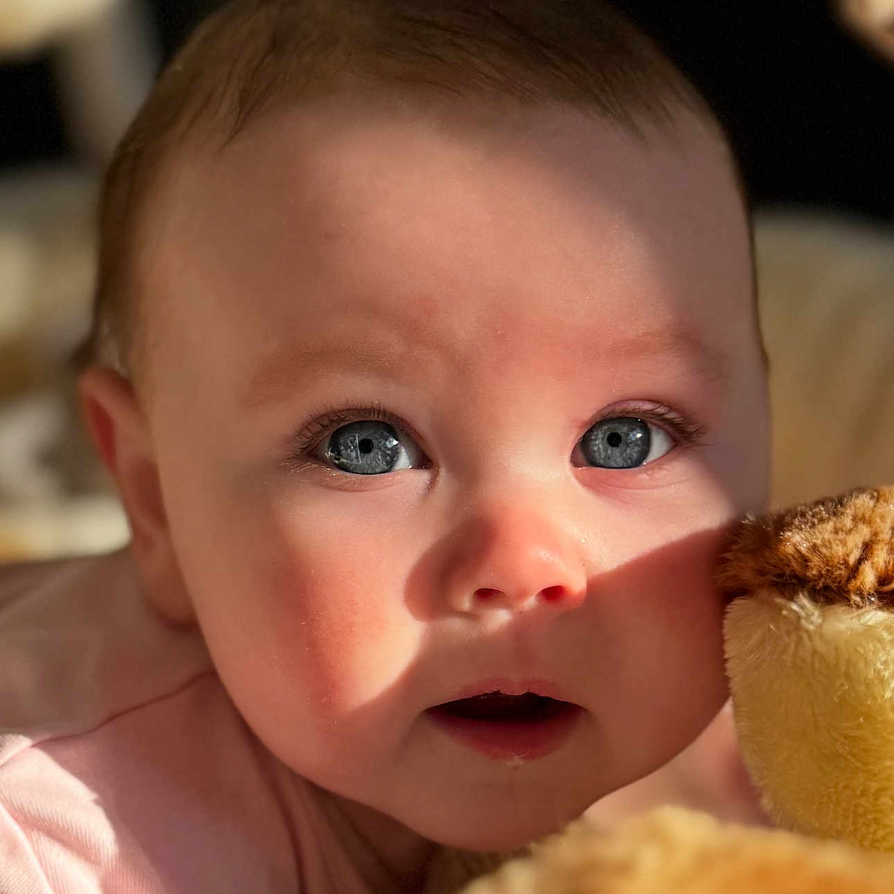 Pabi is registered to the contest to win money with this photo: animal, baby, bird, bodypart, ear, face, finger, frown, hand, happy, head, mouth, newborn, penguin, person, photography, portrait, sad, smile, toy