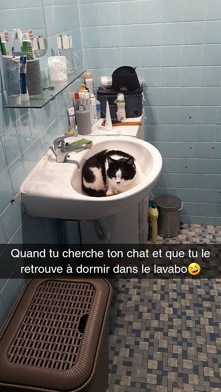 Minette participe au concours pour gagner de l'argent avec cette photo : bathroom, machine, plumbing_fixture, room, sink