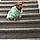Scrappy Doo Harris