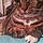 Sheba