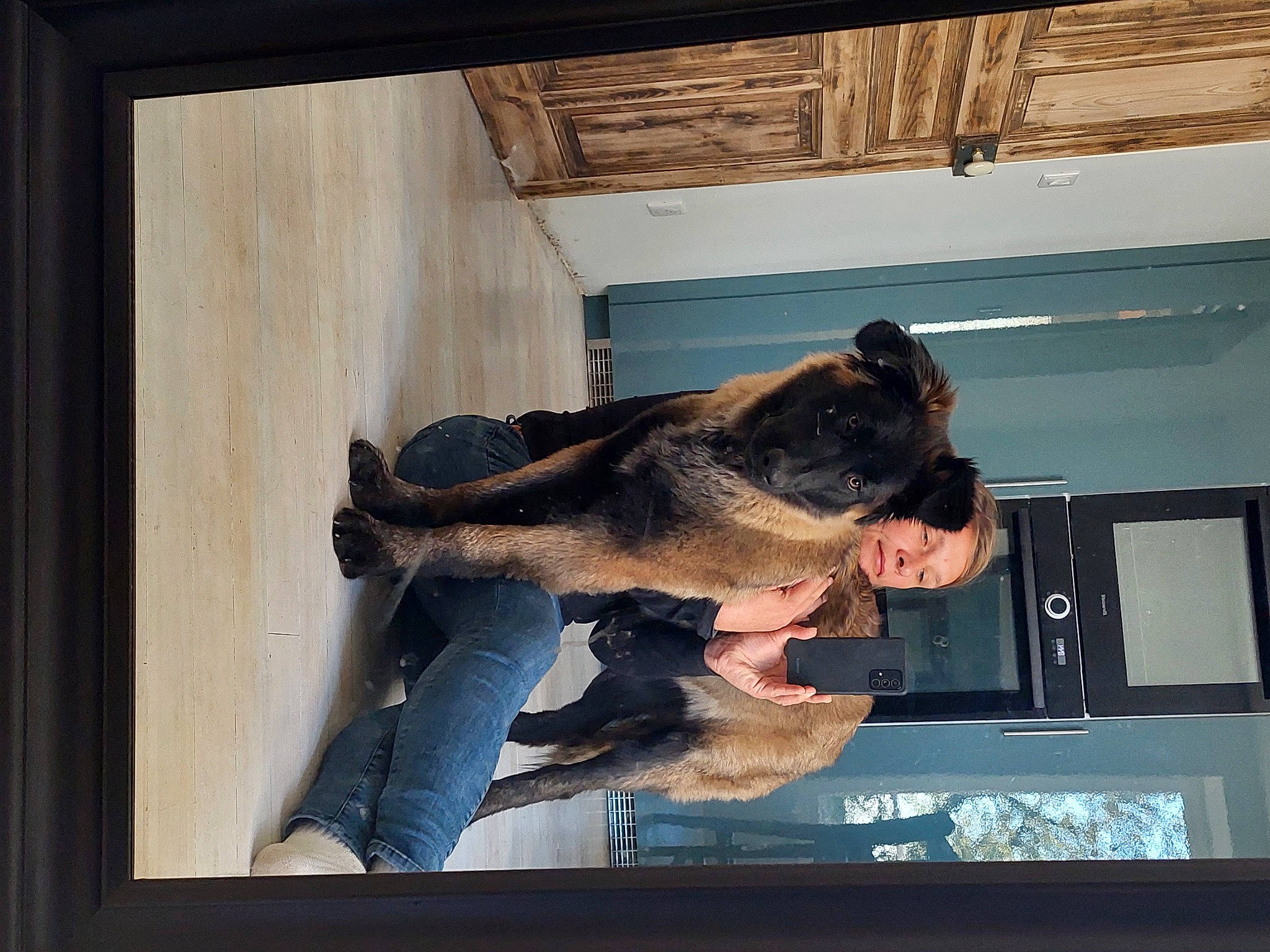 Siera a rejoint le concours — aidez-le/la à gagner de superbes lots ! canidae, carnivore, display_device, dog_breed, fawn, fur, gesture, jaw, rectangle, room, snout, sporting_group, tail, television_set, window, wood, working_animal