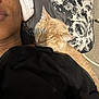 George is registered to the contest to win money with this photo: animal, black_clothing, braids, carpet, cat, close_up, companion, cozy, ear, face, feline, floral_pattern, headphones, indoor, person, pet, pillow, relaxation, resting, sleeping_cat