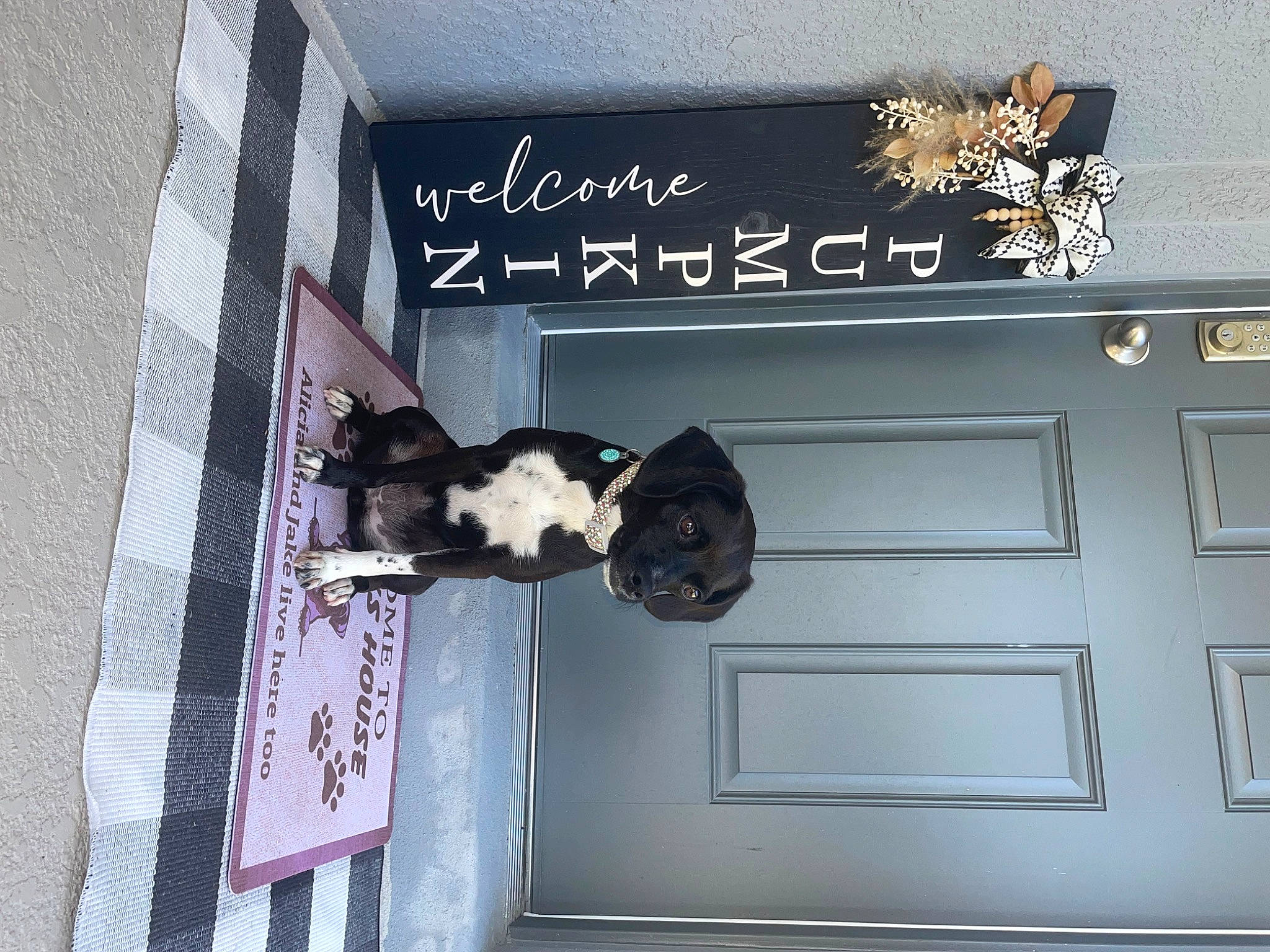 Deedee joined the competition — help win amazing prizes! art, brand, building, door, facade, fashion_accessory, font, formal_wear, handwriting, home_door, house, logo, material_property, pattern, rectangle, room, suit, tree, window