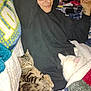 Tali is registered to the contest to win money with this photo: person, cat, tabby_cat, white_cat, hoodie, glasses, beanie, blanket, couch, indoor, relaxing, smoking, hand, sleeping, cozy, furniture, patterned_blanket, tattoo, resting, casual