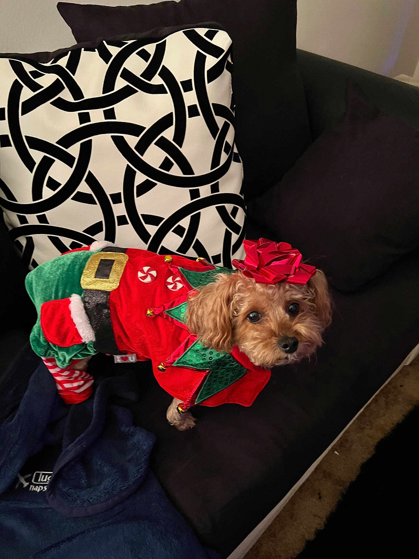 Layla