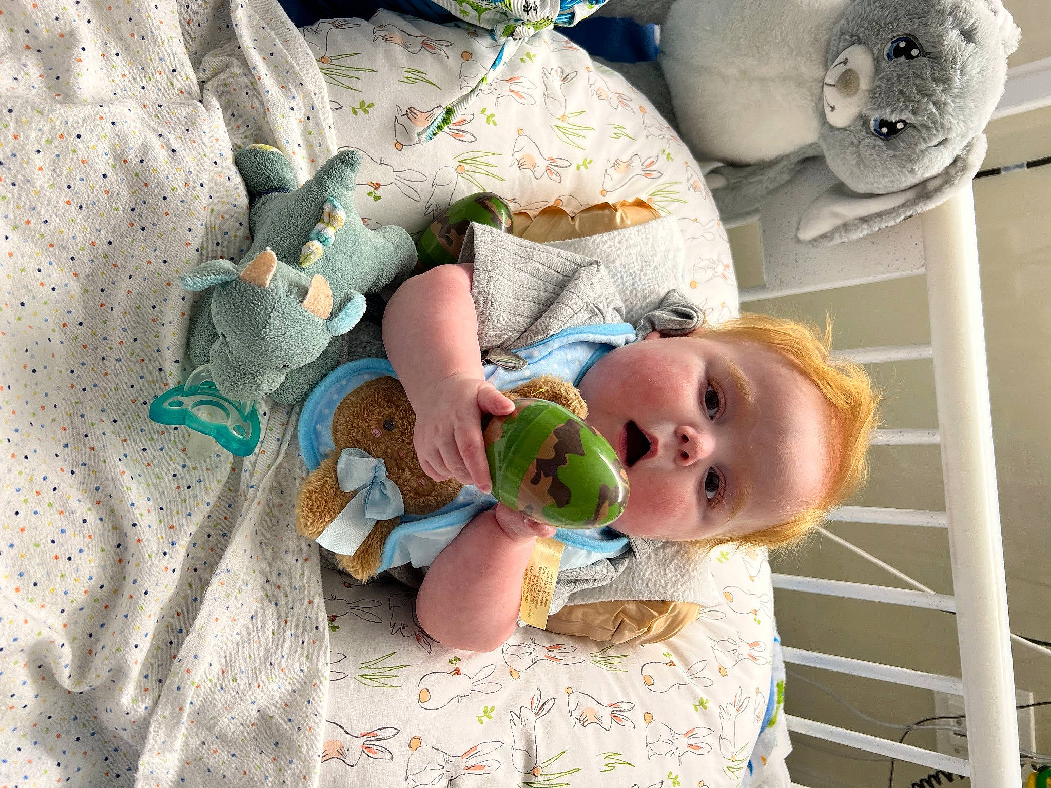 Steve joined the competition — help win amazing prizes! baby, baby_products, baby_safety, baby_sleeping, baby_toddler_clothing, baby_toys, cheek, child, comfort, cradle, happy, head, infant_bed, linens, person, room, stuffed_toy, textile, toddler, toy
