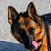 Xena