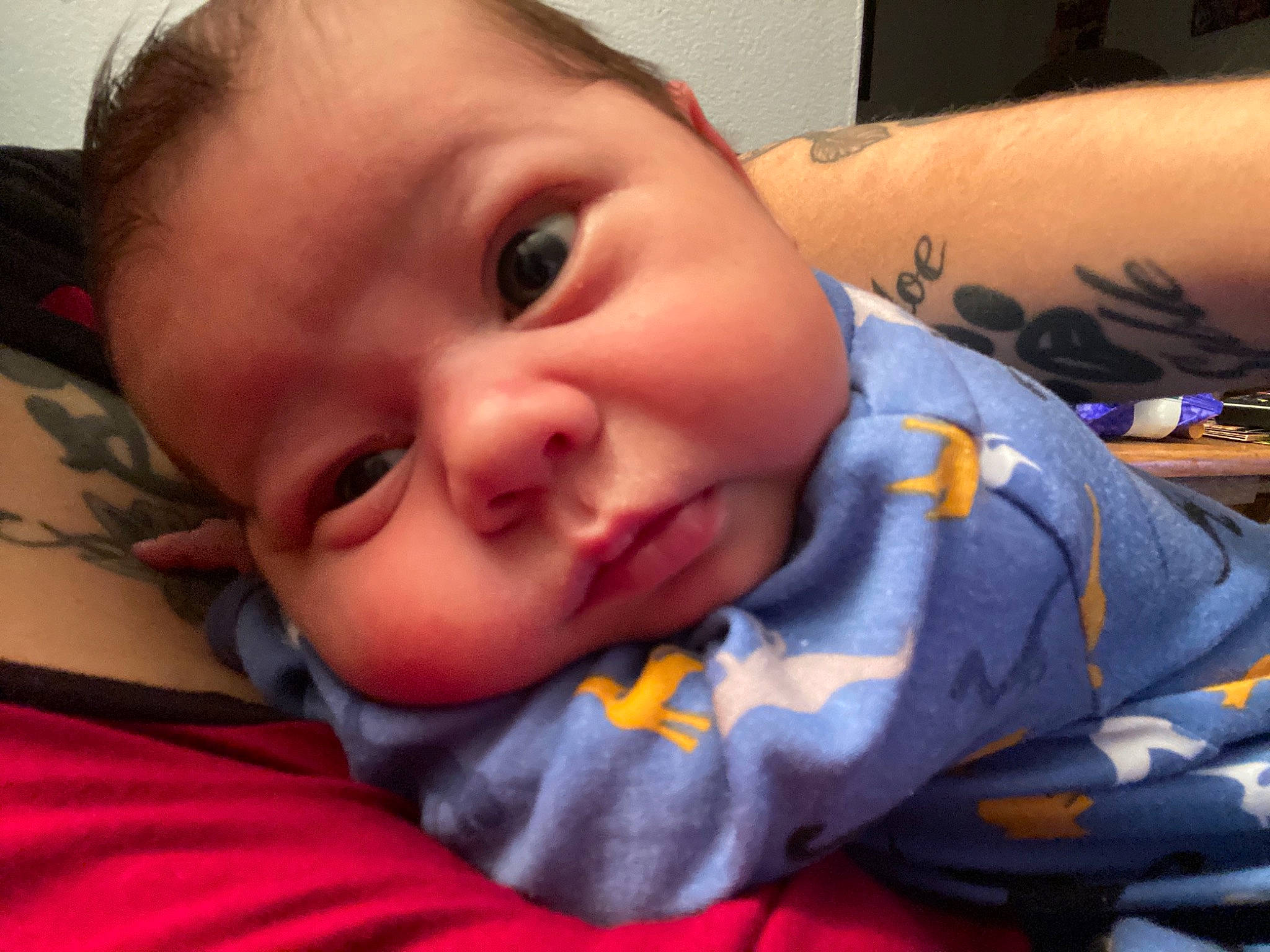 Seamus is registered to the contest to win money with this photo: baby, bedtime, cheek, child, ear, eye, face, head, lip, mouth, nap, nose, person, skin, sleep, toddler