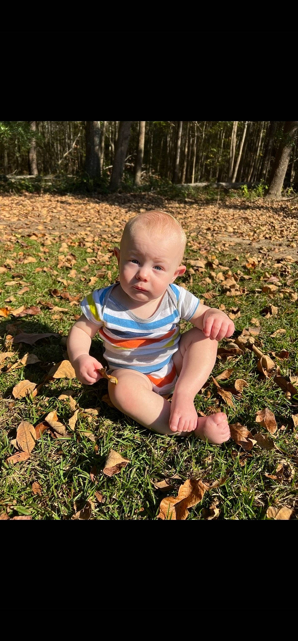 Rush joined the competition — help win amazing prizes! adaptation, baby, baby_toddler_clothing, child, flash_photography, grass, groundcover, happy, lawn, leaf, mammal, people_in_nature, person, plant, soil, sunlight, tints_and_shades, toddler, tree, wood