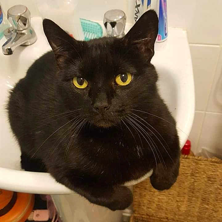 Marmite