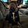 Bodhi