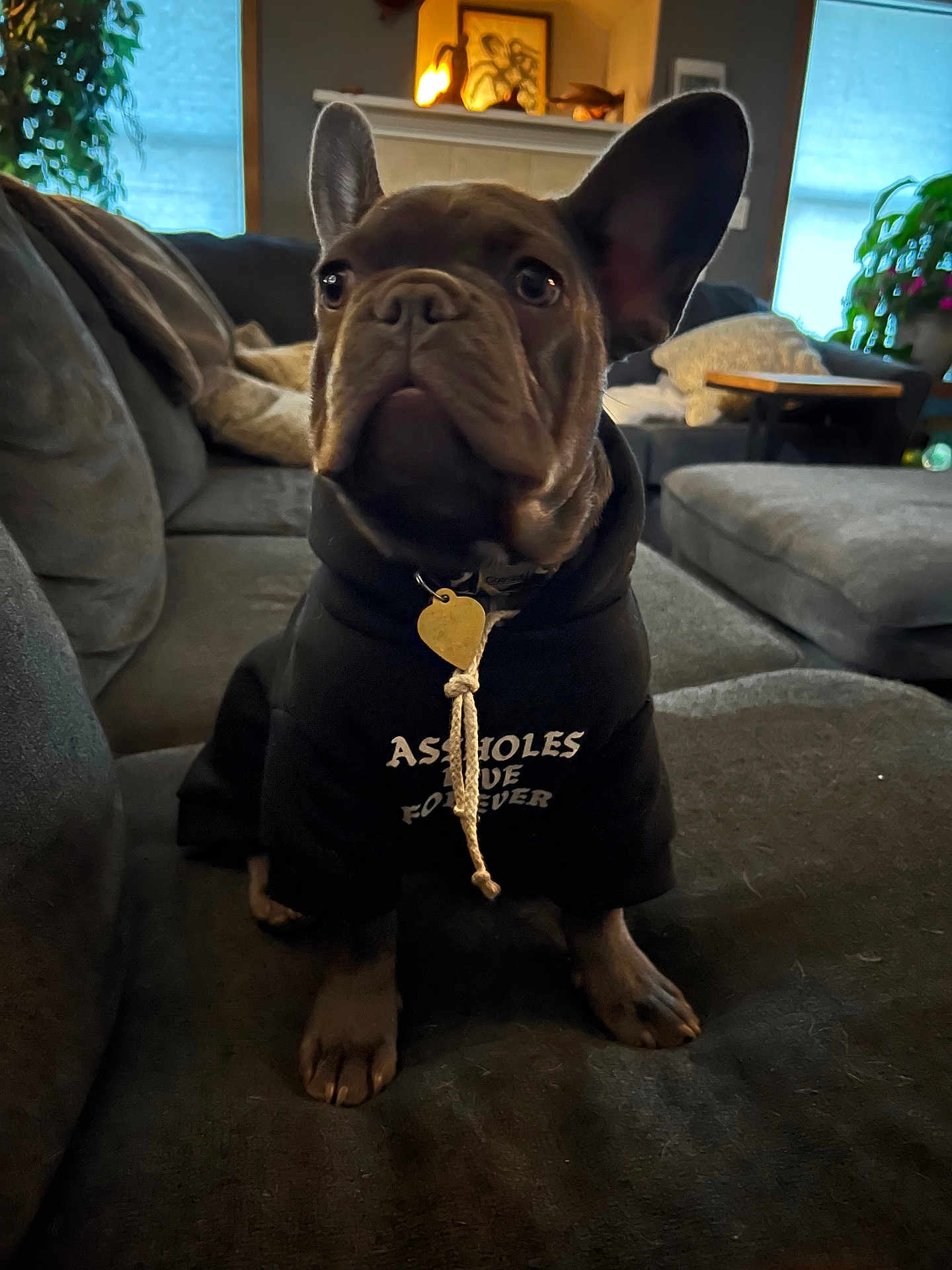 Bodhi