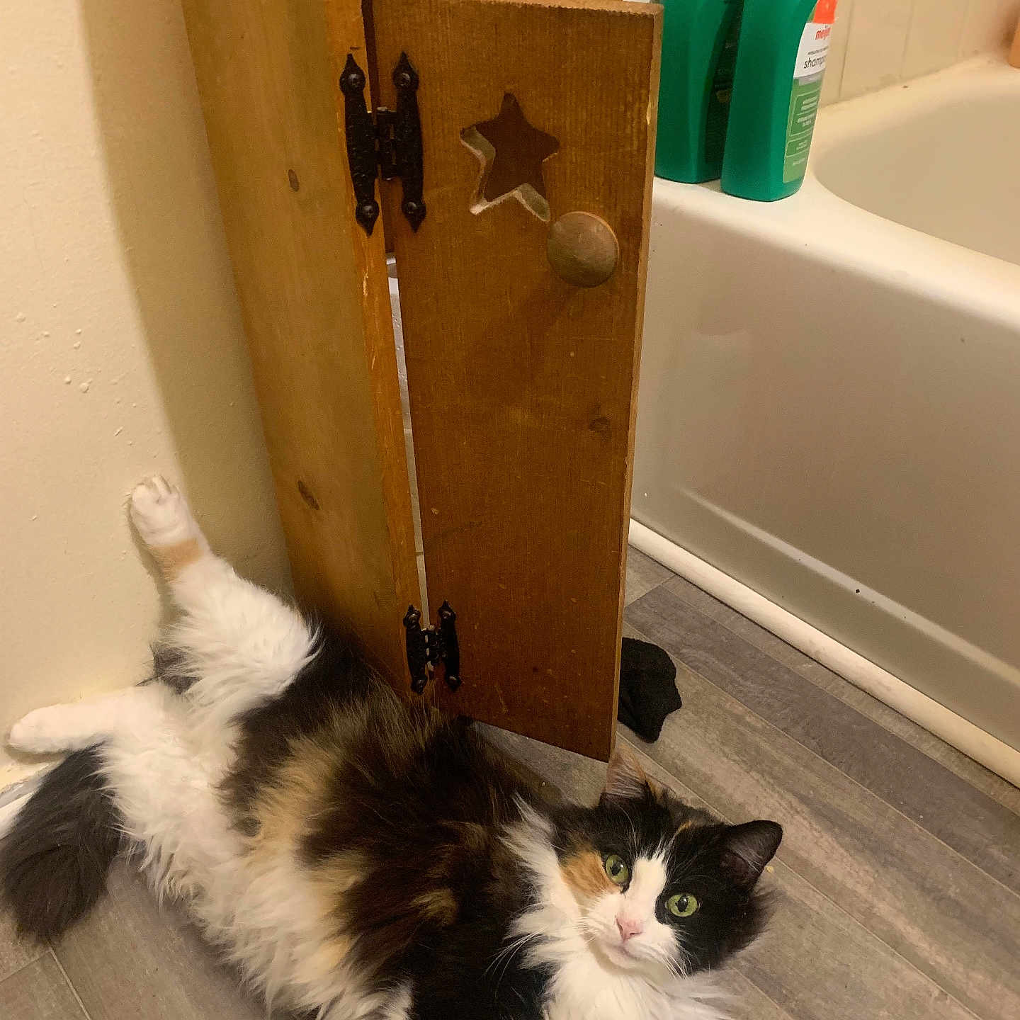 Kallie is registered to the contest to win money with this photo: cat, calico_cat, fluffy, long_hair, pet, animal, face, green_eyes, lying_down, belly_up, raised_paw, white_fur, black_fur, orange_fur, bathroom, bathtub, wooden_cabinet, soap_bottles, tile_wall, floor