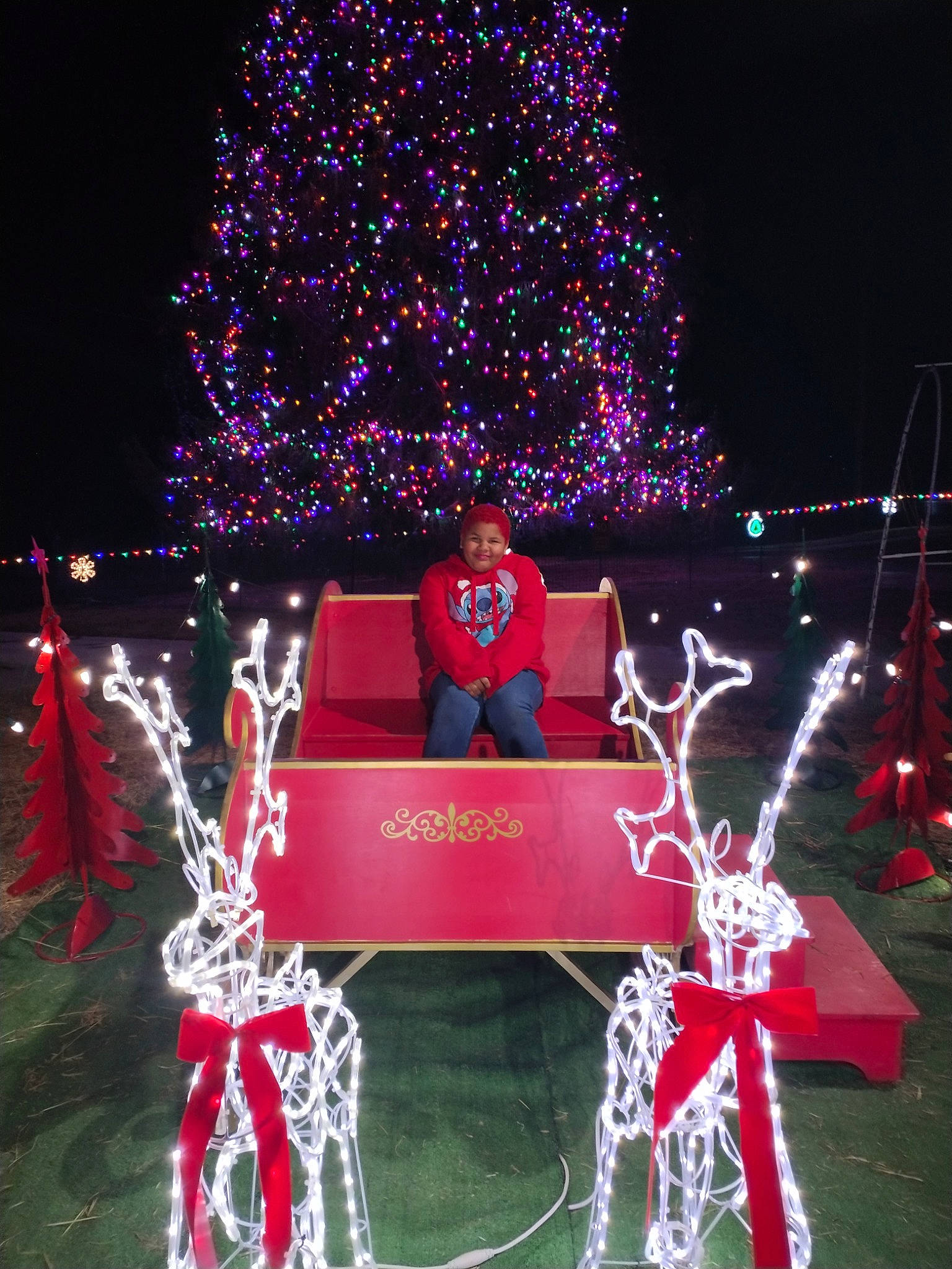 Mashayla is registered to the contest to win money with this photo: black, christmas, christmas_decoration, christmas_eve, christmas_lights, christmas_ornament, christmas_tree, decoration, event, headwear, holiday, holiday_ornament, interior_design, joy, light, lighting, ornament, person, plant, red