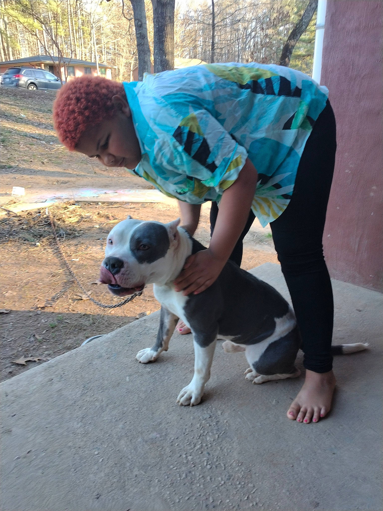 Mashayla joined the competition — help win amazing prizes! asphalt, carnivore, companion_dog, dog, dog_breed, fawn, fun, grass, human_leg, leash, leg, leisure, person, road_surface, sidewalk, snout, sporting_group, sunglasses, t_shirt, tail