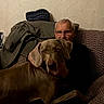 brown_dog, coat, companion, couch, cozy, dog, elderly, furniture, glasses, hat, home, indoor, looking_at_camera, man, painting, pet, portrait, relaxing, seated, wall