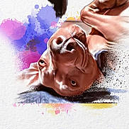 Lucky a rejoint le concours — aidez-le/la à gagner de superbes lots ! animal, artistic, background, brown_dog, close_up, colorful, creative, digital_art, dog, expression, illustration, paint_splatter, pet, playful, portrait, relaxed, soft_edges, texture, upside_down, watercolor