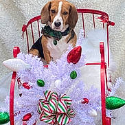 Otis joined the competition — help win amazing prizes! animal, beagle, bow_tie, chair, christmas, cute, decorative_bow, dog, festive, fluffy_background, green, holiday_decor, indoor, metal, ornaments, pet, portrait, red, white, wreath