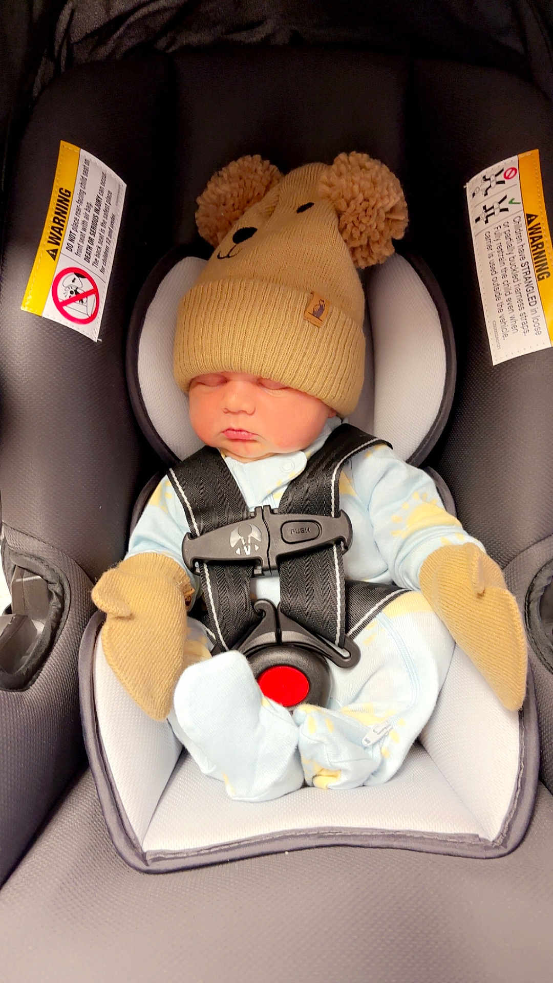 Hayden joined the competition — help win amazing prizes! baby, infant, newborn, car_seat, hat, pompom_hat, mittens, harness, buckle, sleeping, cute, cozy, pajamas, seat_padding, safety_label, portrait, soft_fabric, pink_cheeks, infant_clothing, car_seat_insert