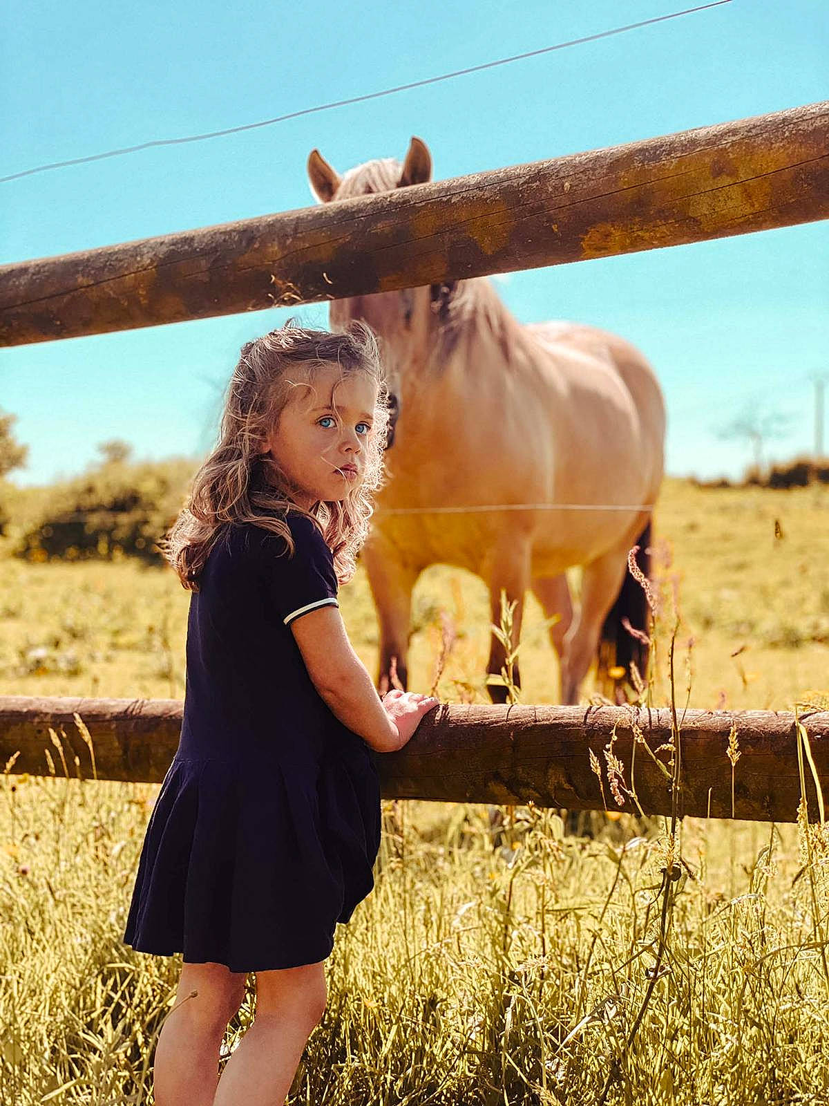 Marylou participe au concours pour gagner de l'argent avec cette photo : dress, ecoregion, eye, fawn, fence, grass, grassland, hair, happy, head, horse, landscape, people_in_nature, person, plain, plant, rural_area, sky, sorrel, wood