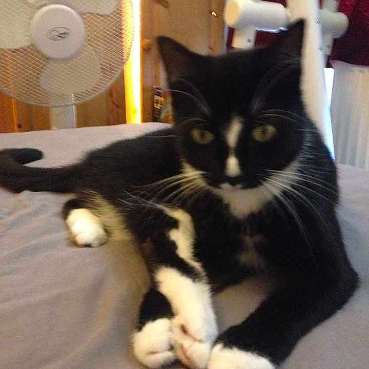 Zero joined the competition — help win amazing prizes!