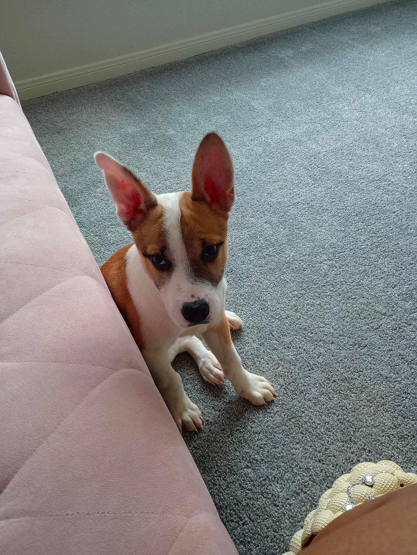 Lucy