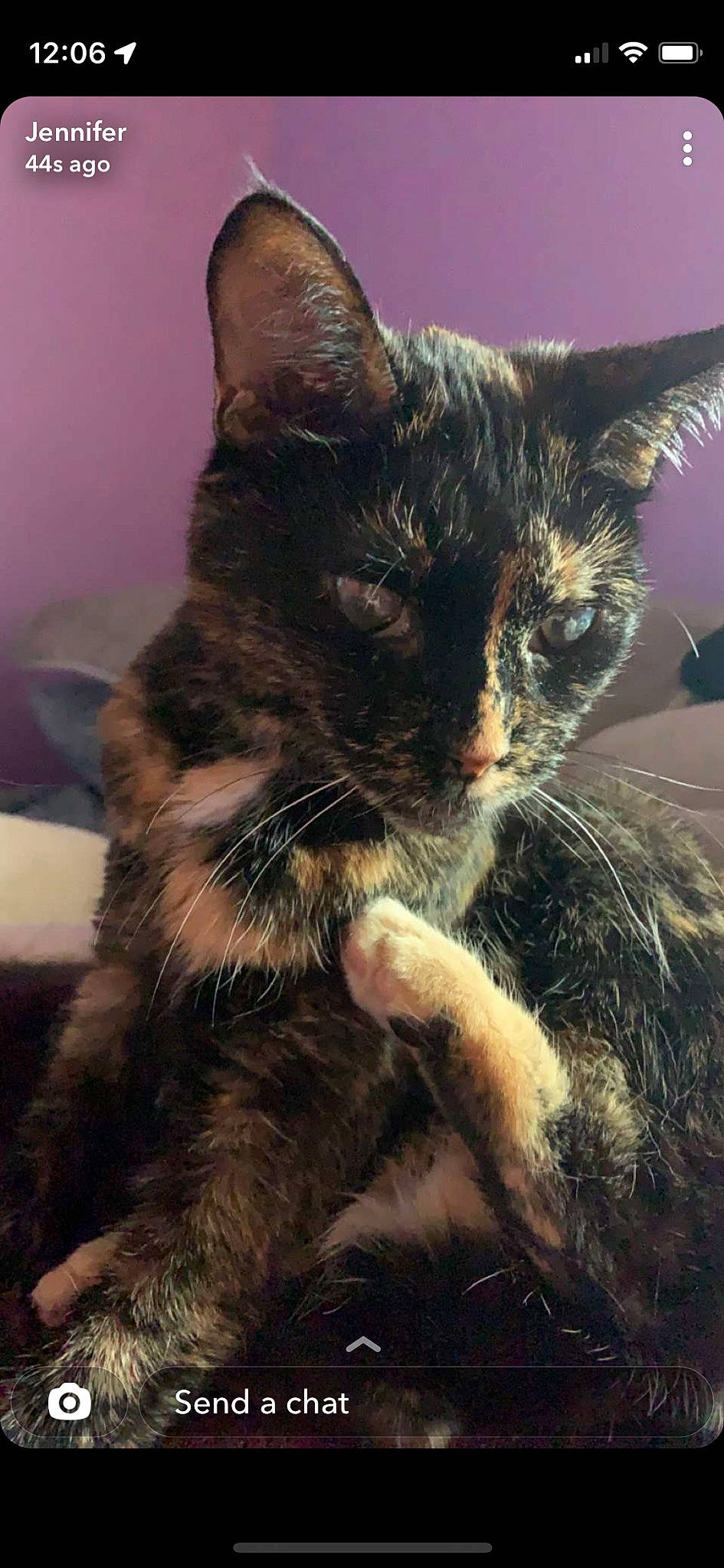 Opal is registered to the contest to win money with this photo: black_cat, carnivore, cat, claw, comfort, domestic_short_haired_cat, ear, felidae, foot, fur, human_leg, paw, small_to_medium_sized_cats, snout, tail, terrestrial_animal, whiskers