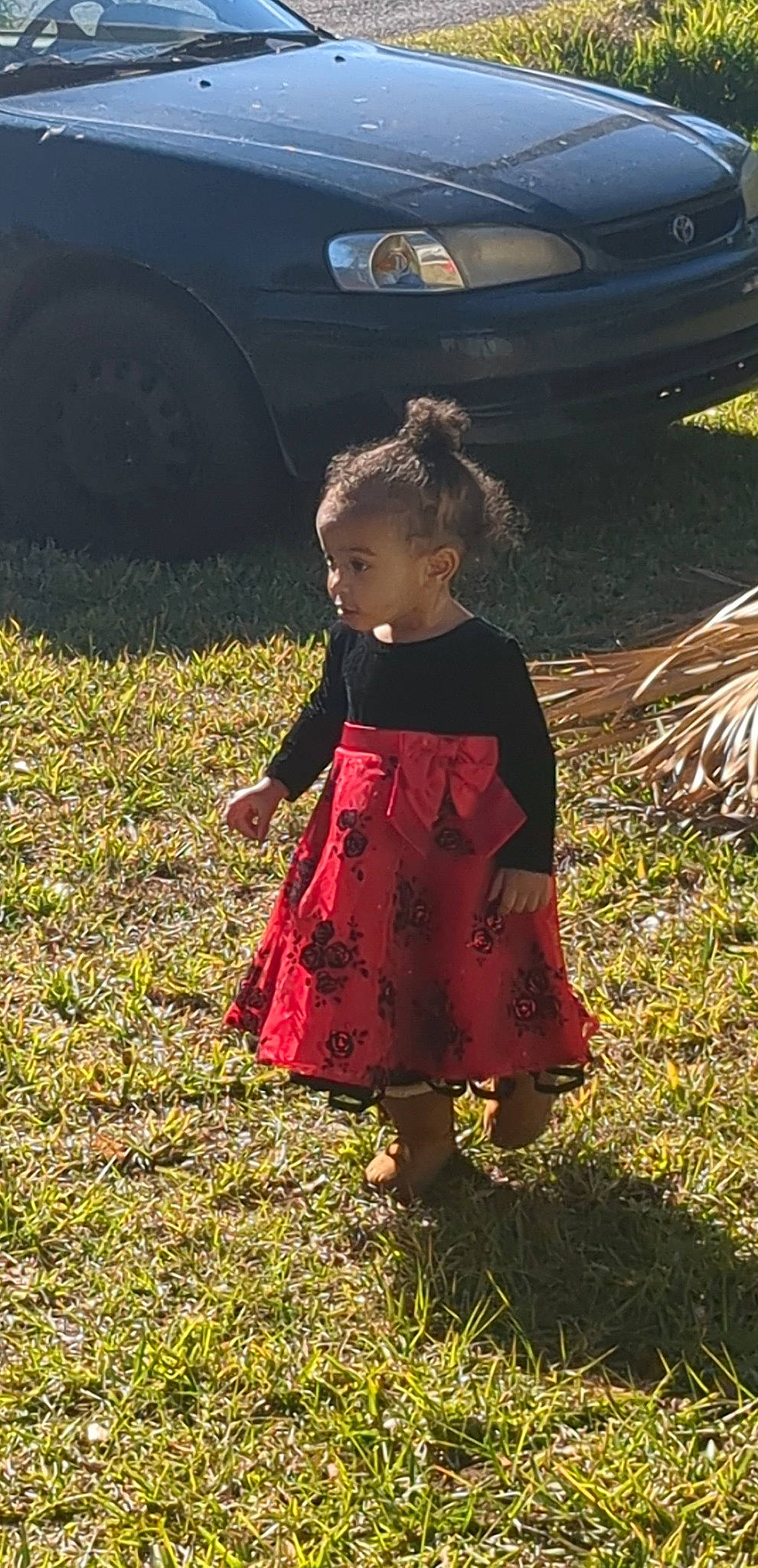 Jeanette joined the competition — help win amazing prizes! automotive_exterior, automotive_lighting, automotive_tire, baby_toddler_clothing, car, dress, grass, grass_family, grassland, lawn, motor_vehicle, people_in_nature, person, plant, tints_and_shades, tire, toddler, tree, vehicle, vehicle_door