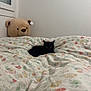 Vanille participe au concours pour gagner de l'argent avec cette photo : bedroom, black_cat, cat, stuffed_toy, teddy_bear, bedspread, floral_pattern, window, wall, indoor, cozy, resting, animal, pet, cute, soft_toy, furniture, home, relaxing, comfort