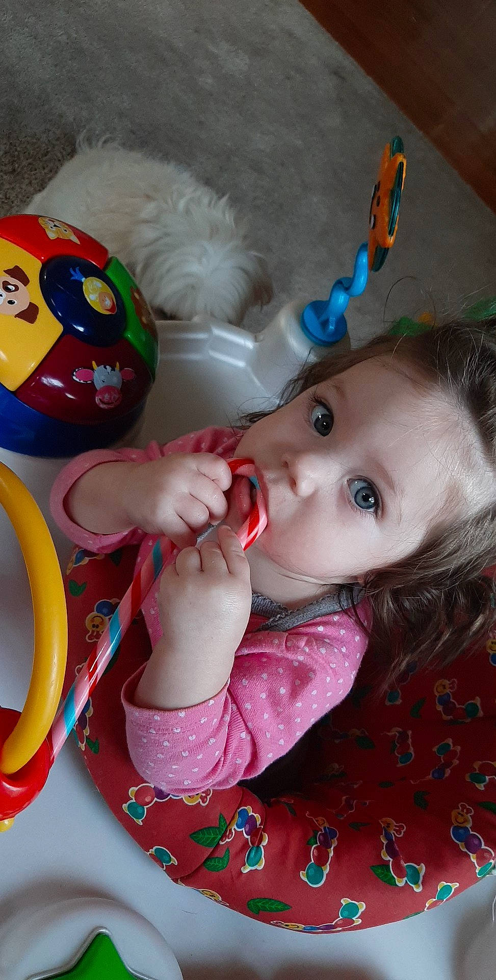 Kara joined the competition — help win amazing prizes! baby, baby_products, baby_toys, child, mouth, nose, person, play, product, rattle, toddler, toy