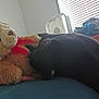 dog, black_dog, teddy_bear, stuffed_animal, bed, blanket, fan, window_blinds, clothes, wooden_furniture, resting, indoor, soft_toy, sleepy, cozy, side_view, animal, napping, home, relaxation
