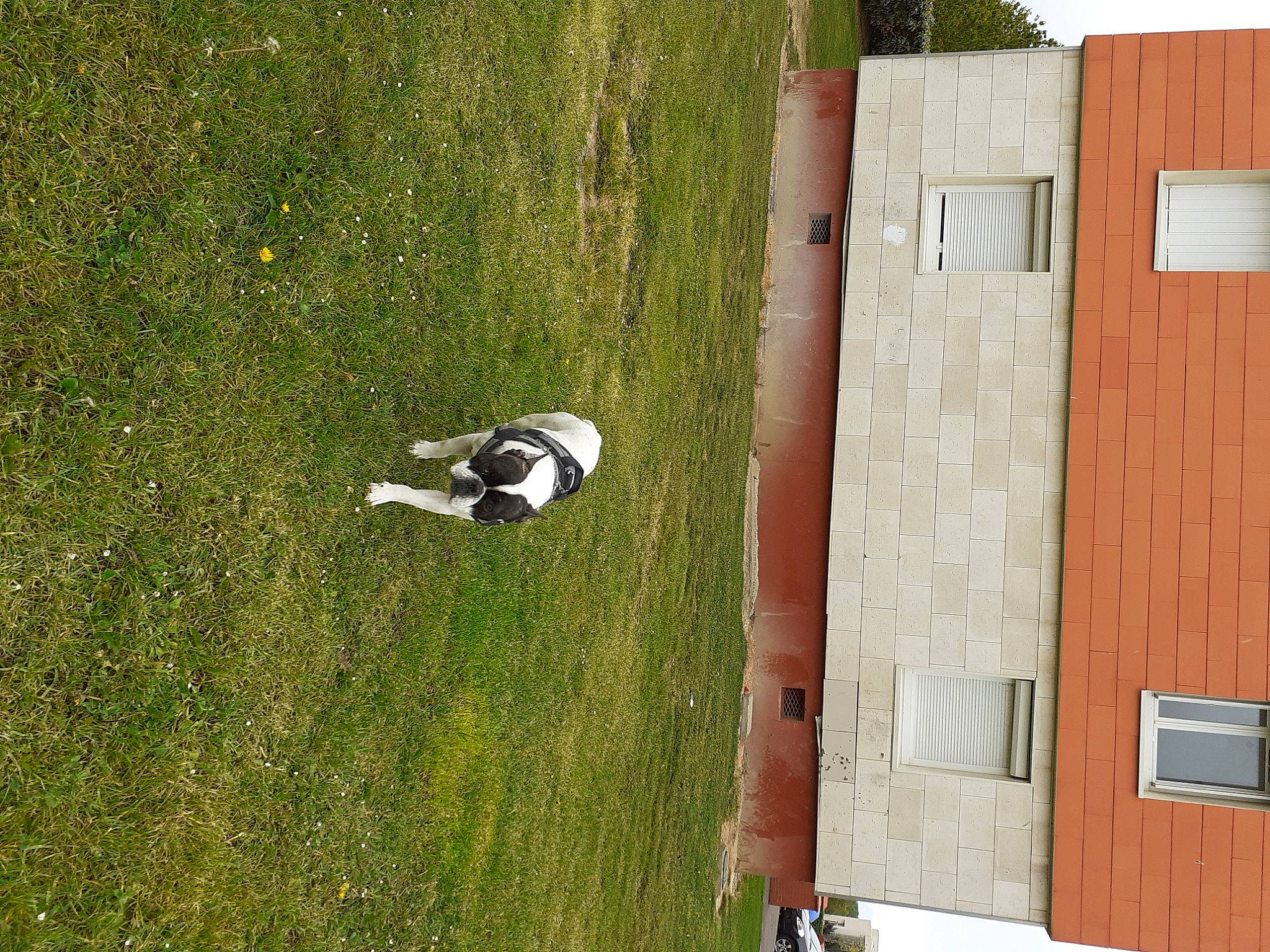 Nina a rejoint le concours — aidez-le/la à gagner de superbes lots ! grass, house, window