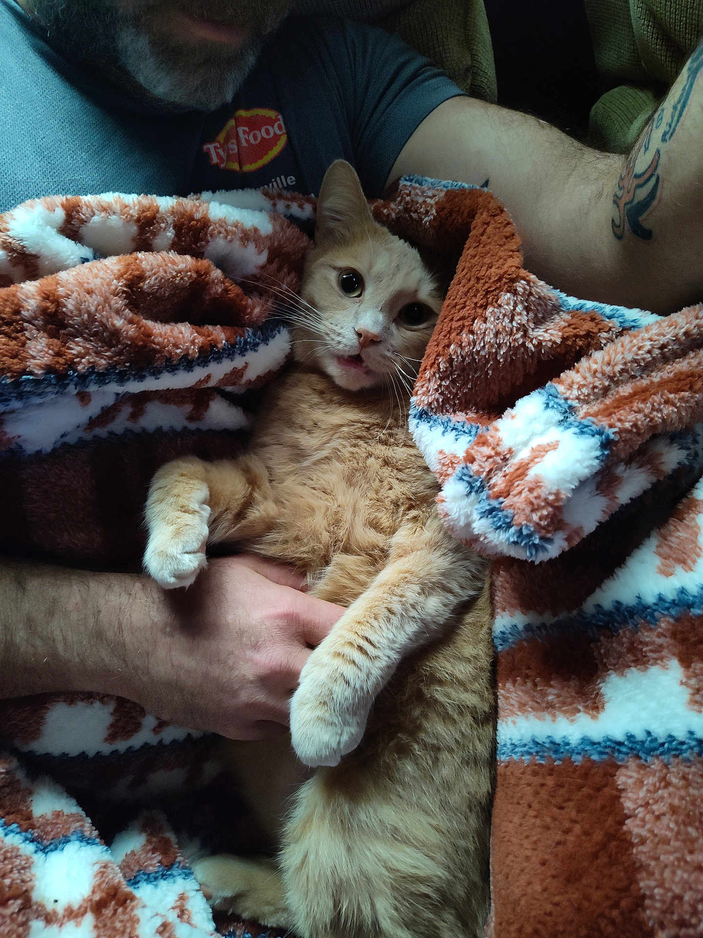 Adam joined the competition — help win amazing prizes! cat, orange_cat, person, beard, tattoo_on_arm, blanket, cozy, paw, whiskers, hand, fur, indoor, portrait, snuggling, shirt, logo_on_shirt, couch, close_up, pet, relaxed