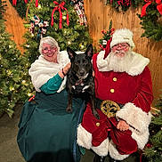 Maverick joined the competition — help win amazing prizes! black_dog, celebration, christmas_lights, christmas_tree, decorations, dog, festive, fur_trim, glasses, green_dress, holiday, indoor, mrs_claus, red_clothing, ribbons, santa_claus, seated, smiling, white_beard, wooden_wall