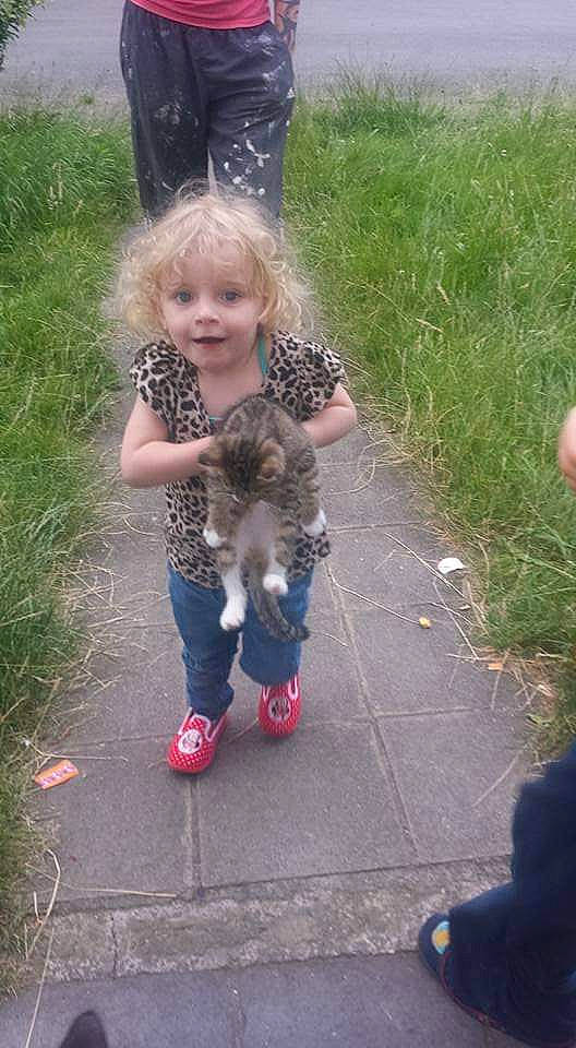 Séléna a rejoint le concours — aidez-le/la à gagner de superbes lots ! baby_toddler_clothing, cat, child, companion_dog, fawn, felidae, fun, fur, grass, happy, lawn, leaf, leisure, mammal, pattern, people_in_nature, person, shoe, sitting, toddler