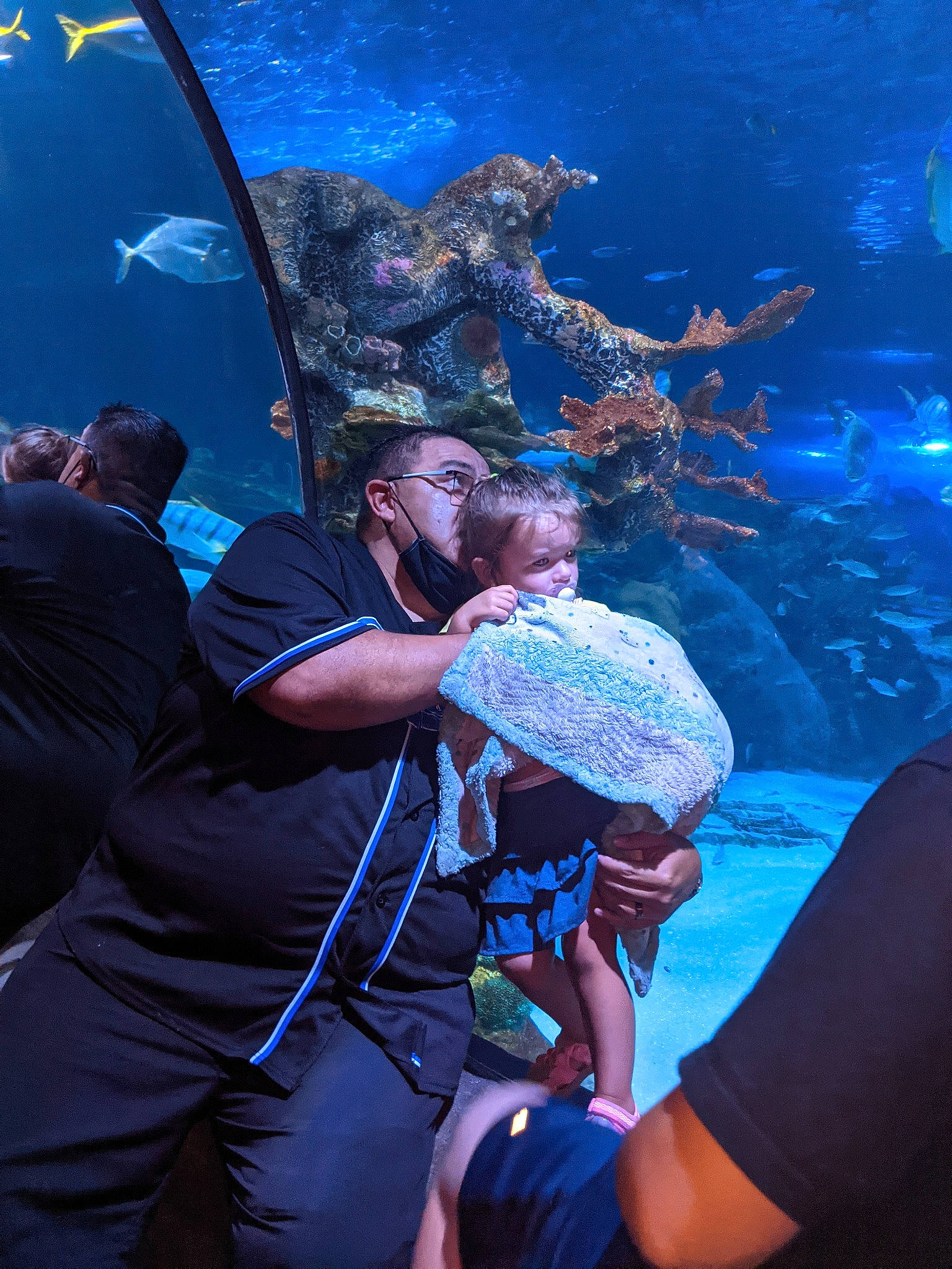 Zulema joined the competition — help win amazing prizes! aquarium, blue, coral, coral_reef, crowd, electric_blue, entertainment, event, fun, leisure, marine_biology, organism, person, purple, recreation, reef, tree, under_exposed, underwater, water