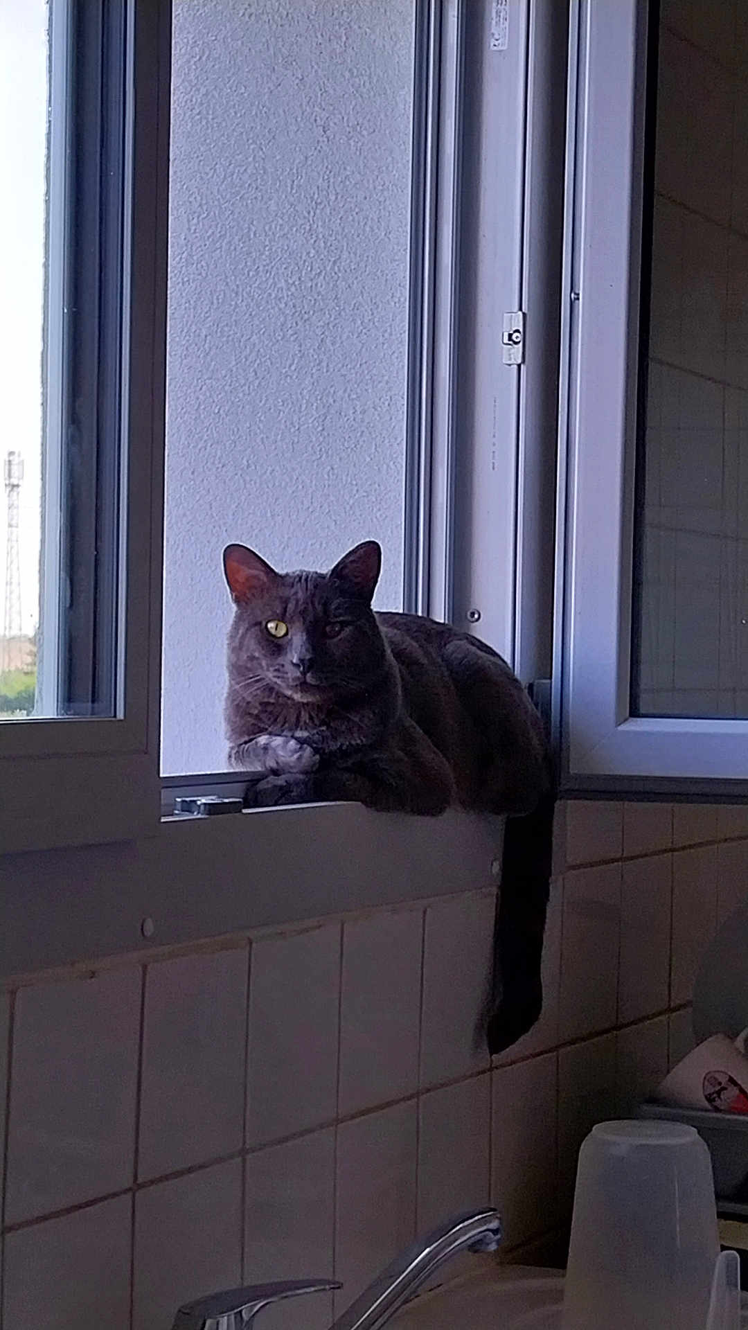 Oréo