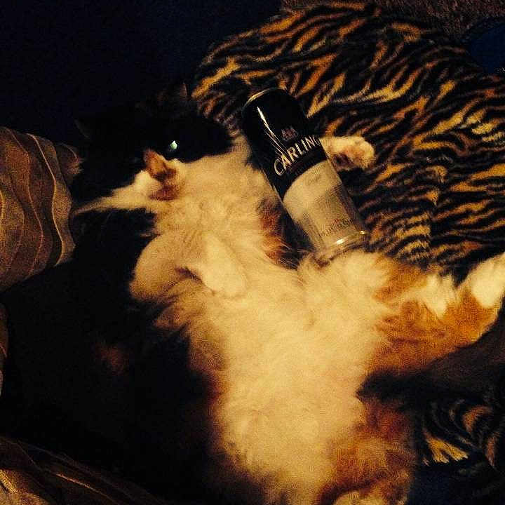 Alice is registered to the contest to win money with this photo: