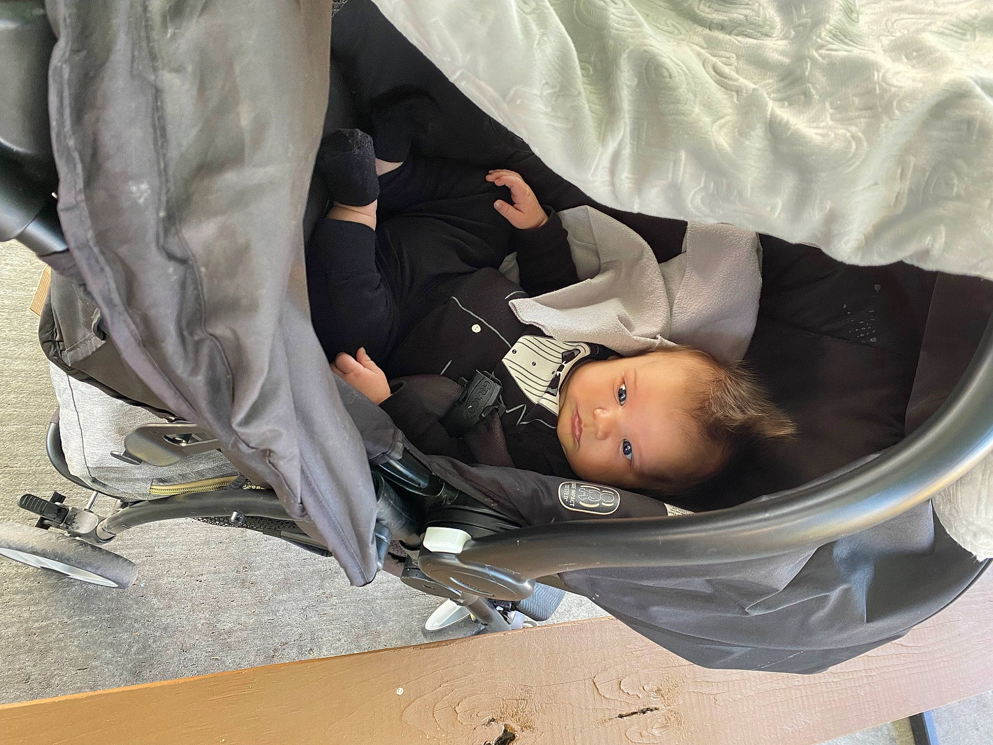 Brandon Jr joined the competition — help win amazing prizes! automotive_exterior, baby, baby_carriage, baby_products, bag, chair, child, comfort, human_leg, leg, linens, nap, person, sitting, sleeve, toddler, tree