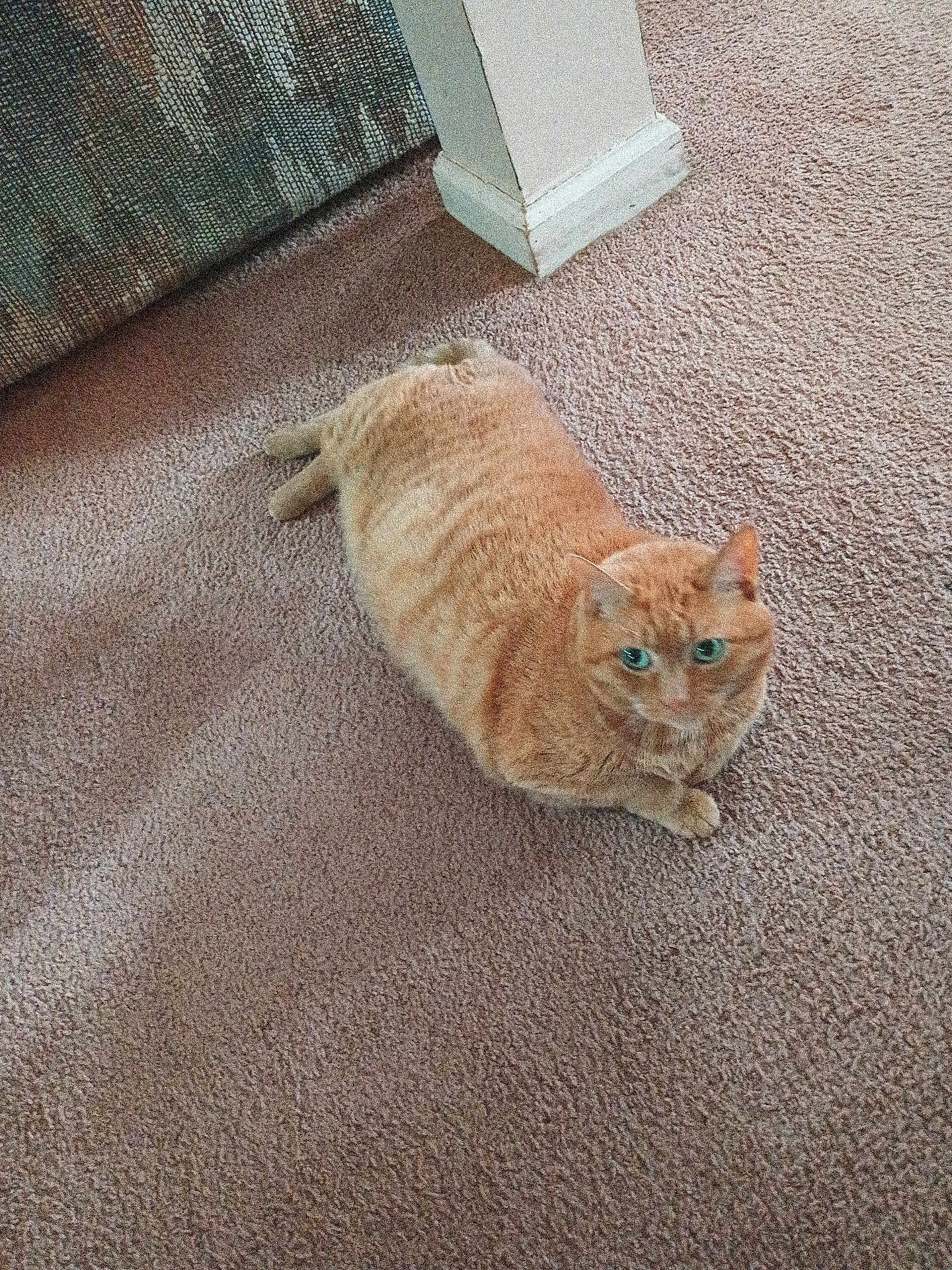 Sweetie
