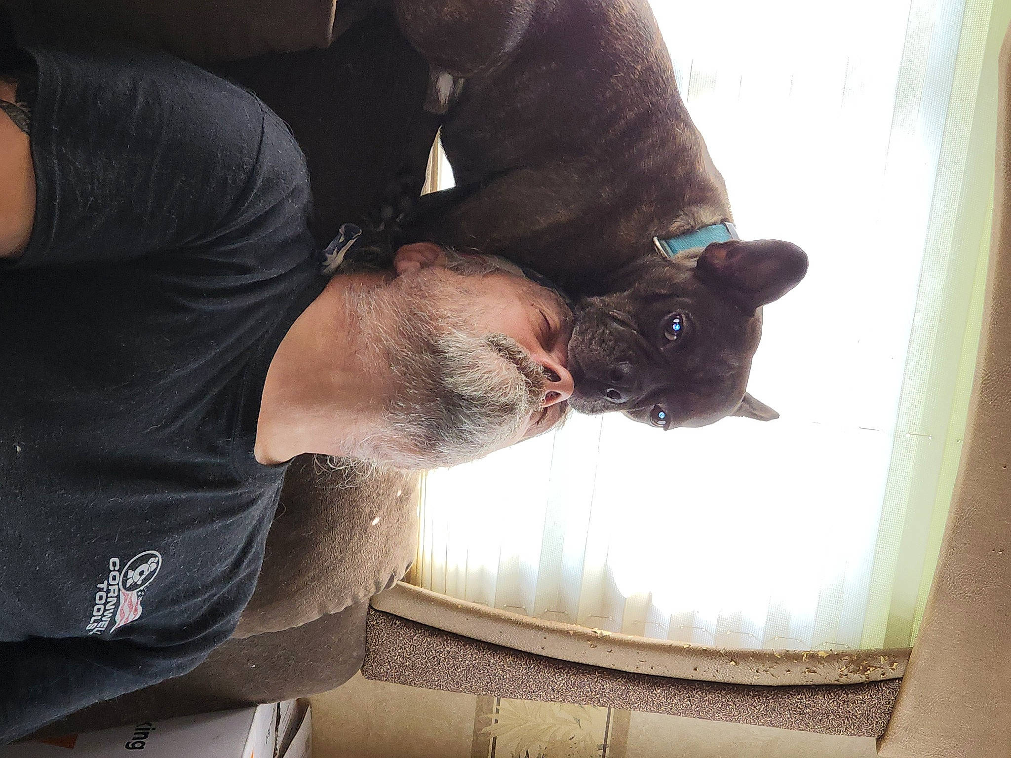 Dude The Man is registered to the contest to win money with this photo: beard, cat, comfort, elbow, eyewear, facial_hair, felidae, flesh, fur, gesture, human_leg, leg, room, sleeve, small_to_medium_sized_cats, sporting_group, t_shirt, whiskers, wood, wrist