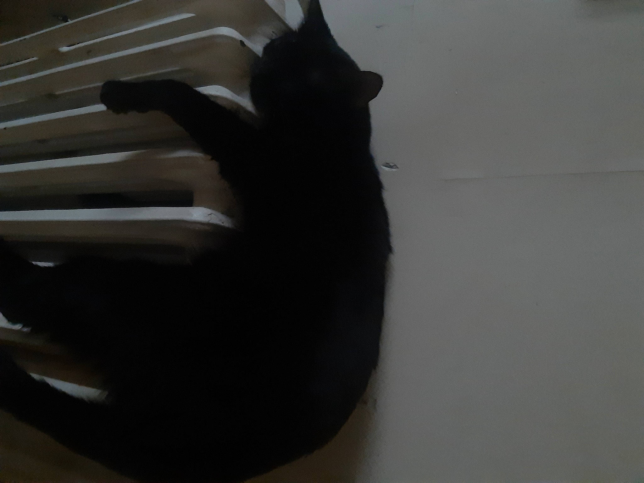 Loulou participe au concours pour gagner de l'argent avec cette photo : art, audio_equipment, auto_part, automotive_exterior, automotive_lighting, bumper, elbow, gesture, glove, hood, nail, sculpture, shadow, tail, thumb, tints_and_shades, toy, visual_arts, wood, wrist